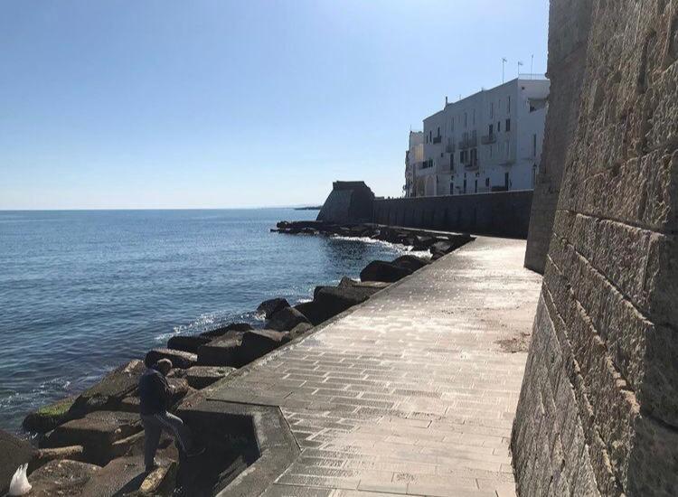 Casa E Bottega